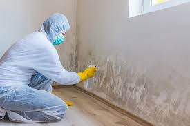 Mold Documentation for Insurance Claims in Cottage Grove, MN