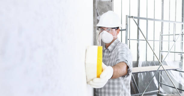 Best Commercial Mold Inspection  in Cottage Grove, MN