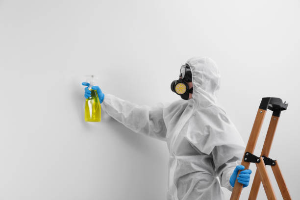 Best Forensic Mold Investigation  in Cottage Grove, MN